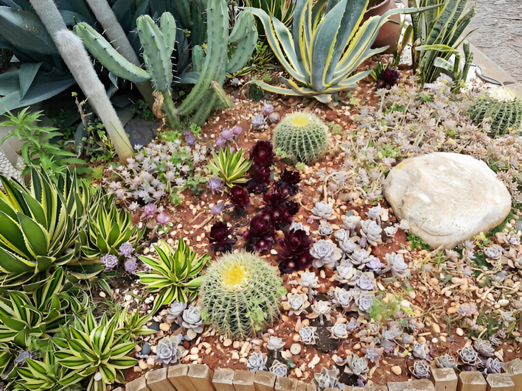 xeriscape