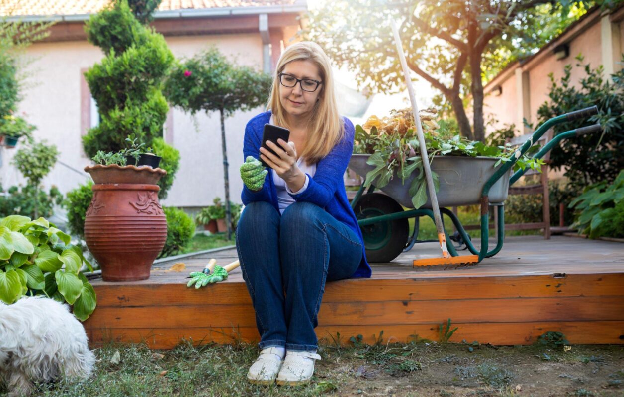 Digital Visual Simulations