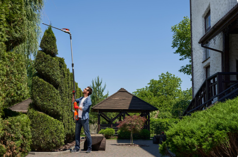 Landscape Installation