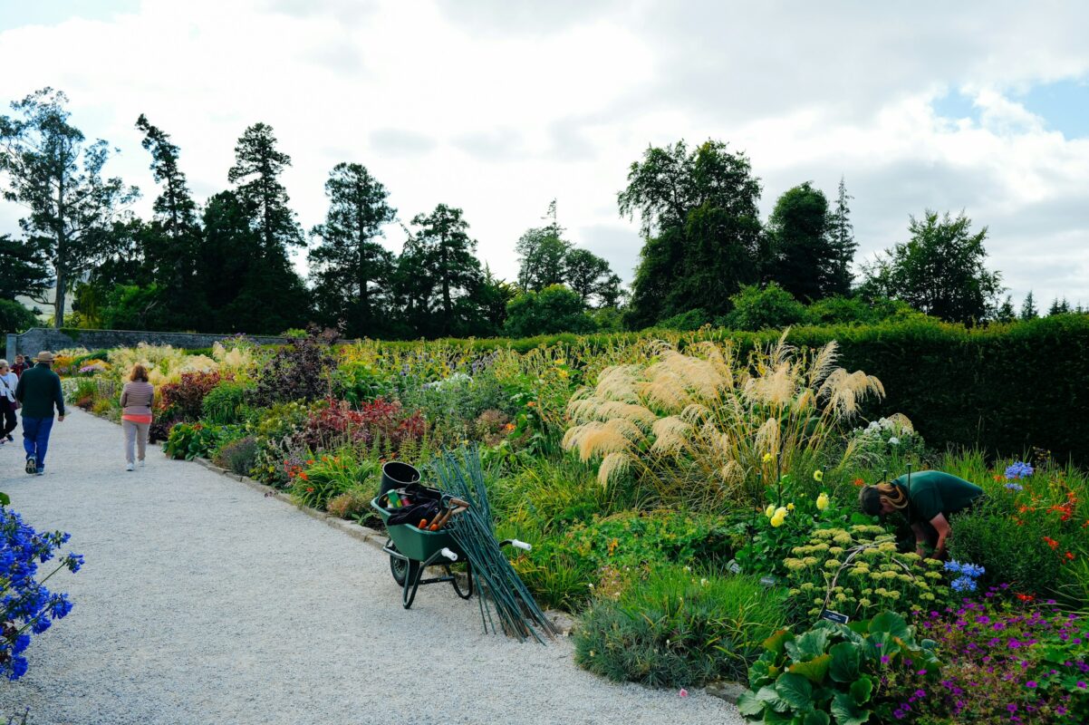 landscape maintenance