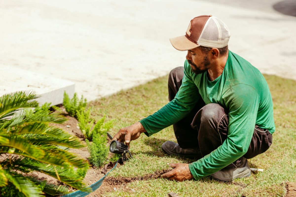 landscape contractor