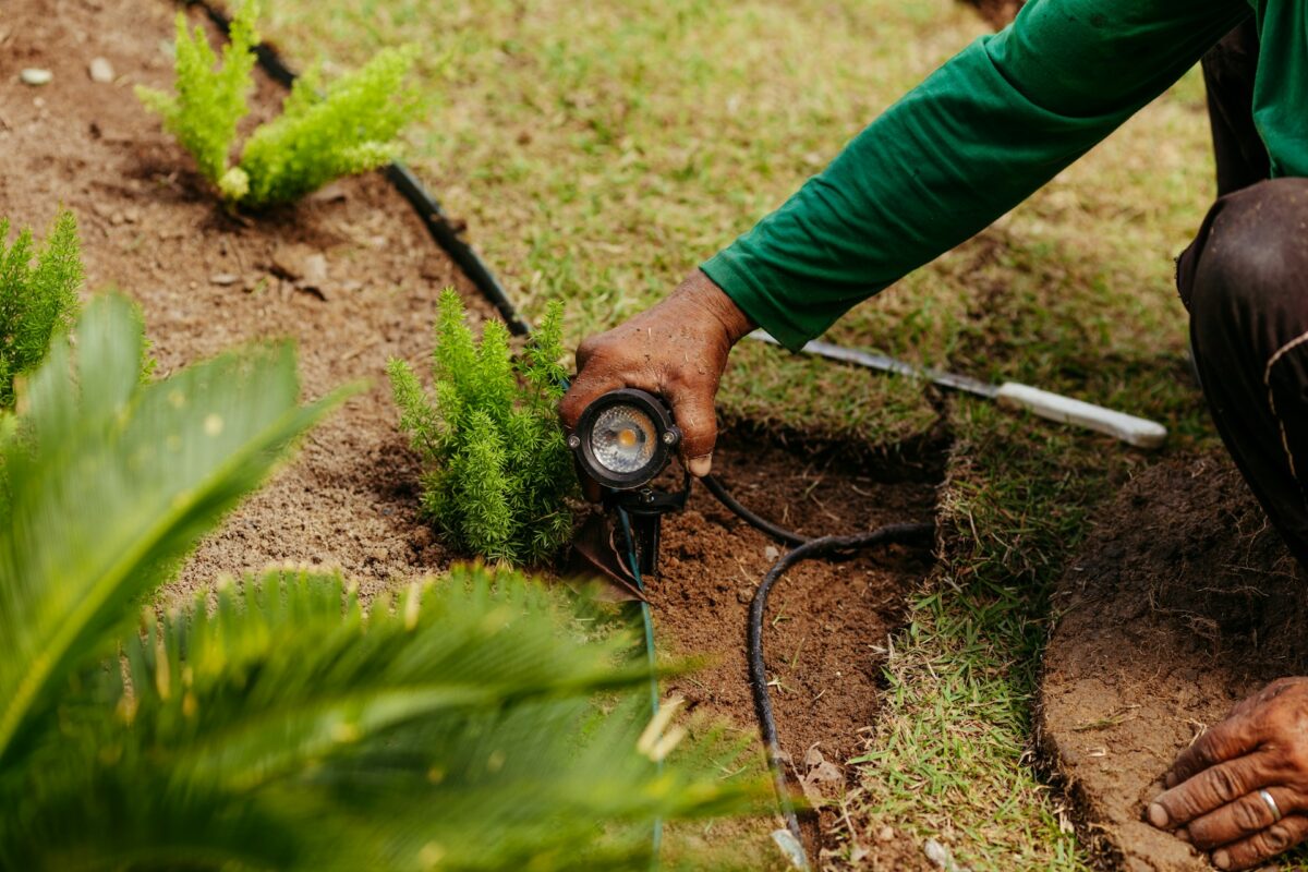 landscape lighting