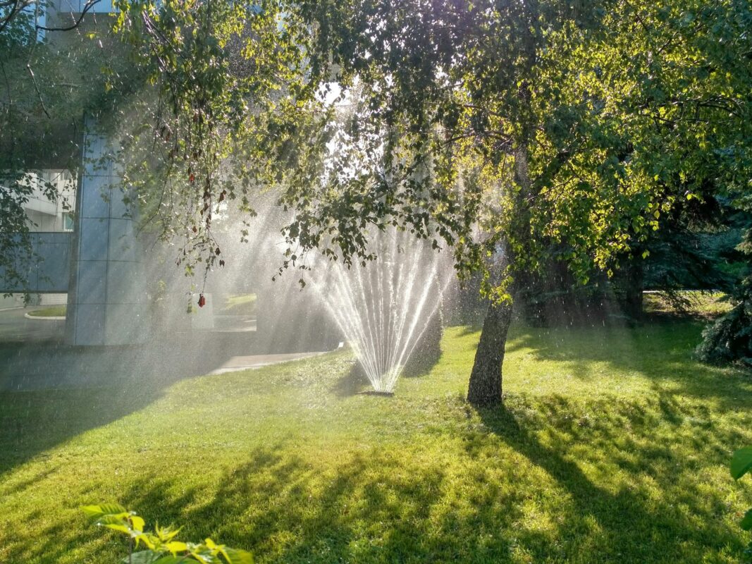 Irrigation