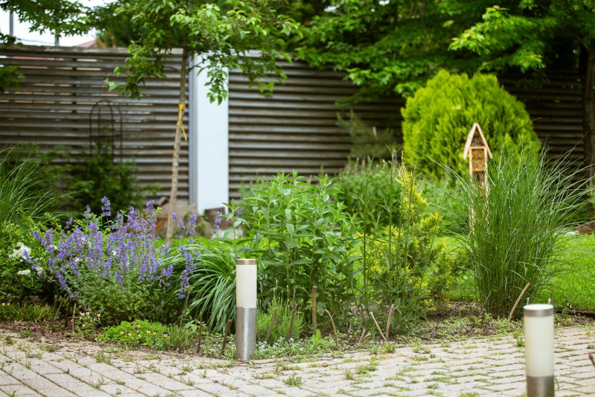 garden path with lighting