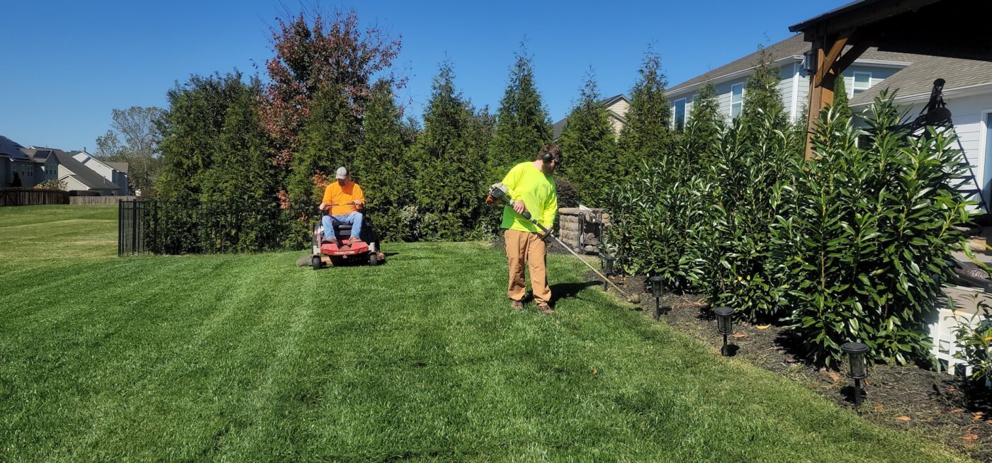landscape specialists