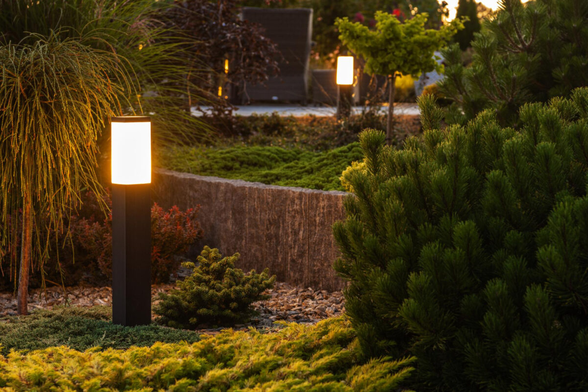 Landscape Lighting