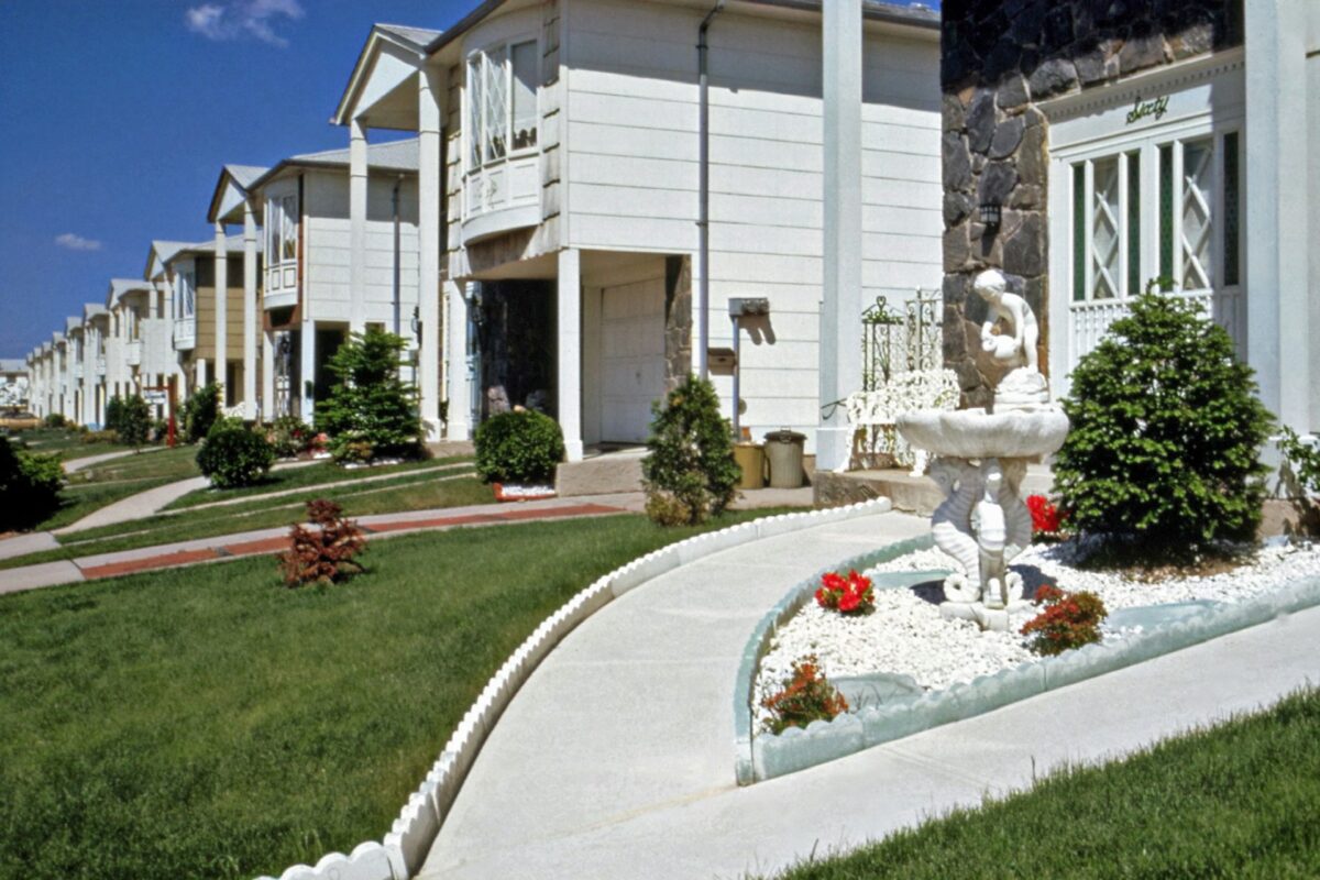 Encinitas Xeriscape Yard