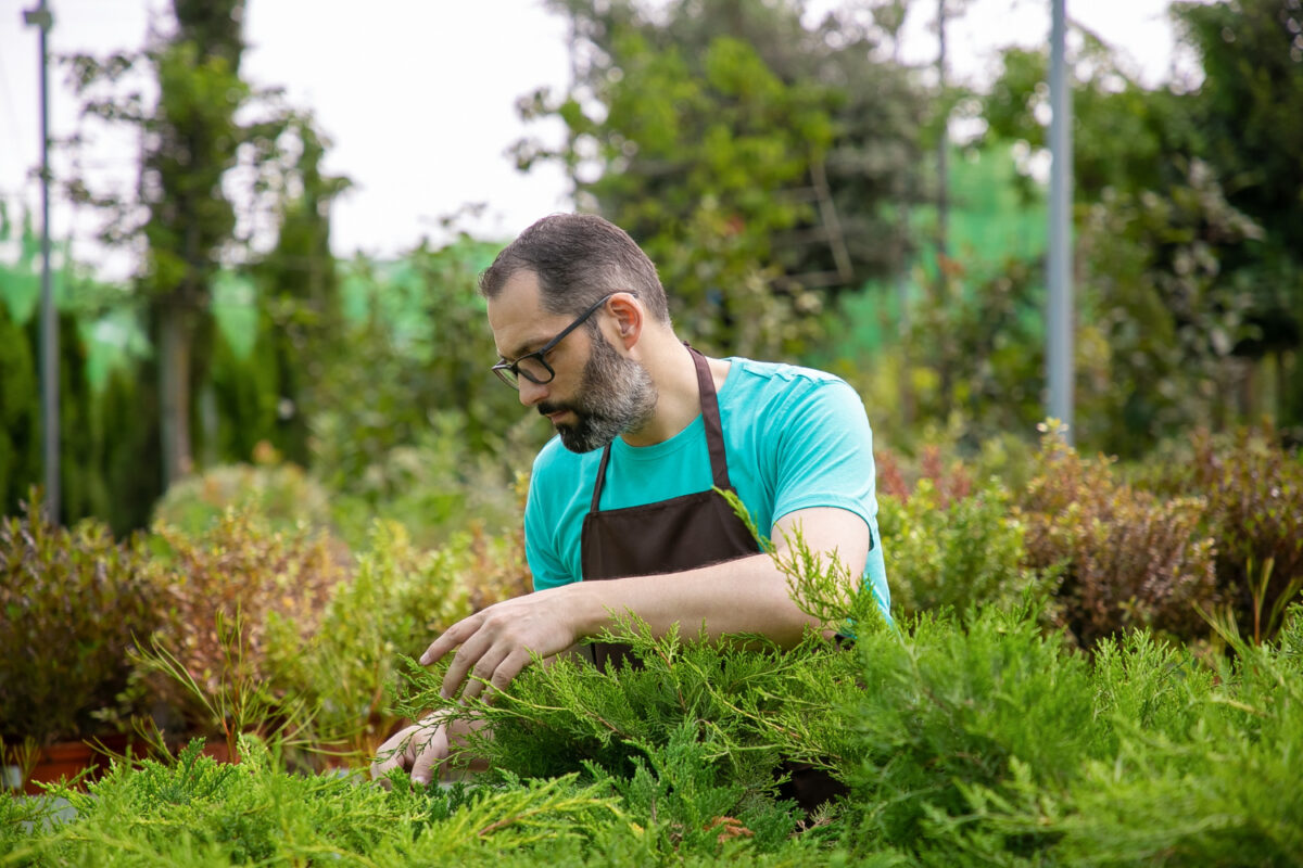 landscape contractor